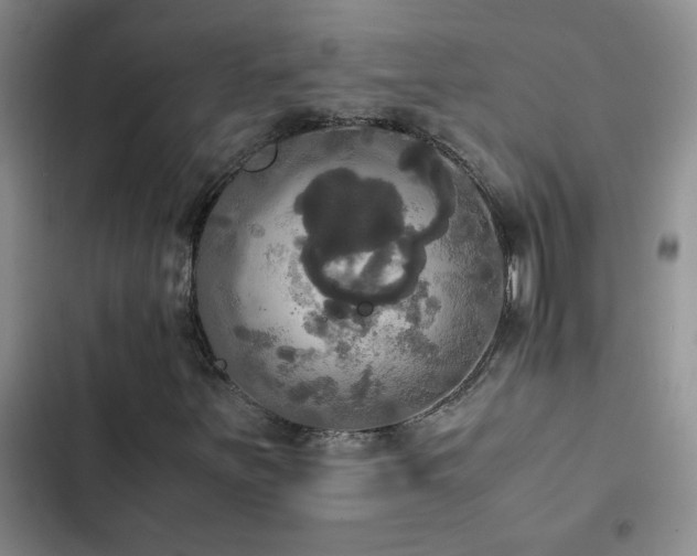 X0000102841251200808181340