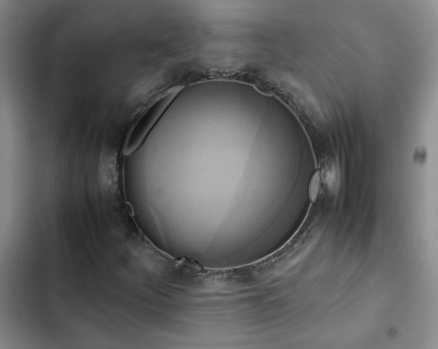 X0000102841252200808181340
