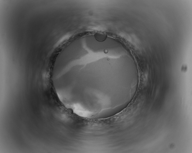 X0000102841254200808181340