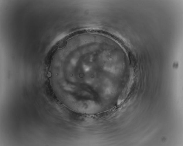 X0000102841255200808181340