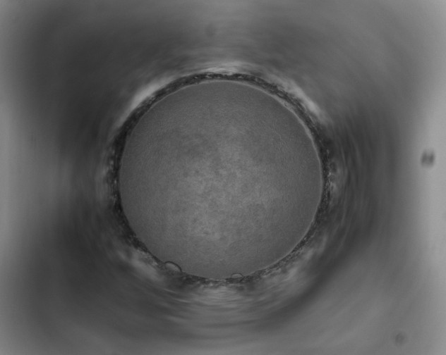 X0000102841256200808181340