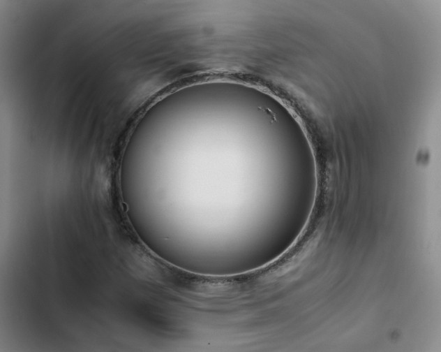 X0000102841257200808181340