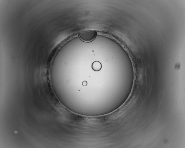 X0000102841258200808181340