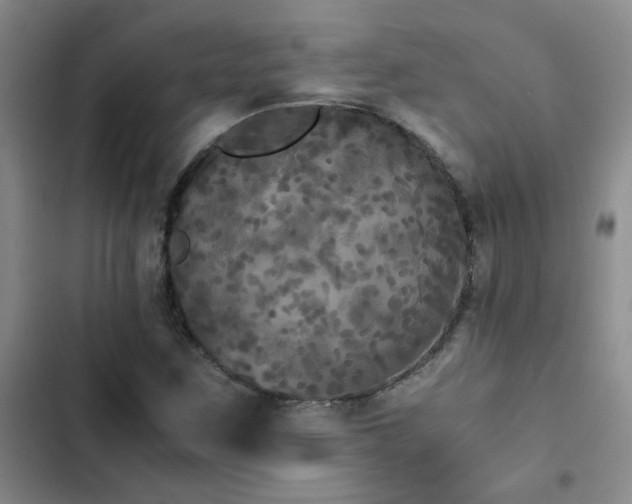 X0000102841259200808181339