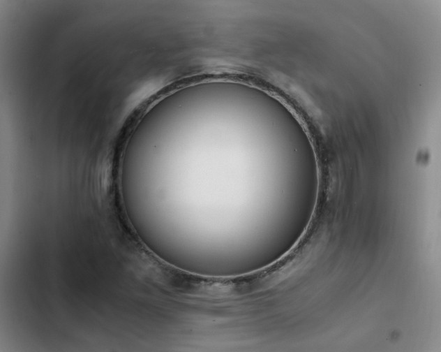X0000102841261200808181339