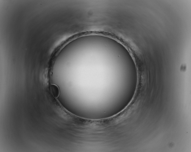 X0000102841262200808181339
