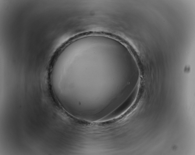 X0000102841263200808181339