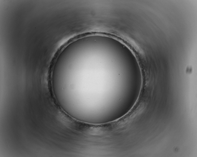 X0000102841264200808181339