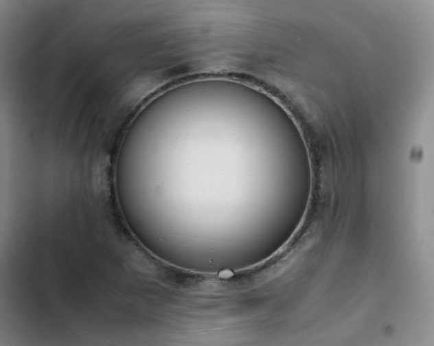 X0000102841265200808181339