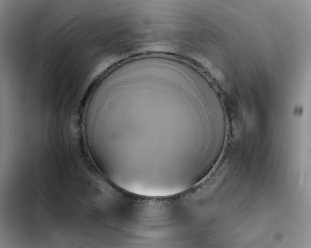 X0000102841266200808181339