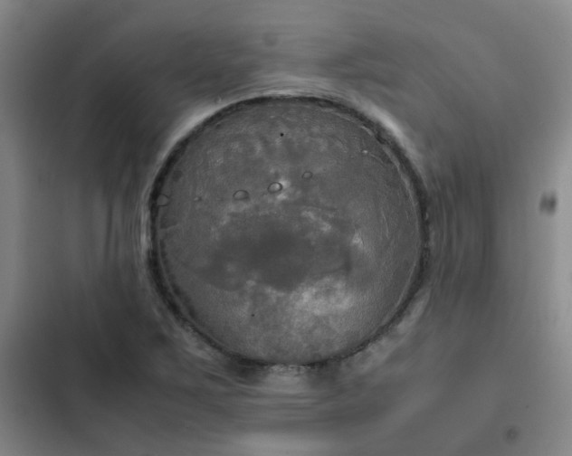 X0000102841267200808181339