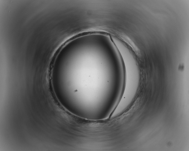 X0000102841268200808181339