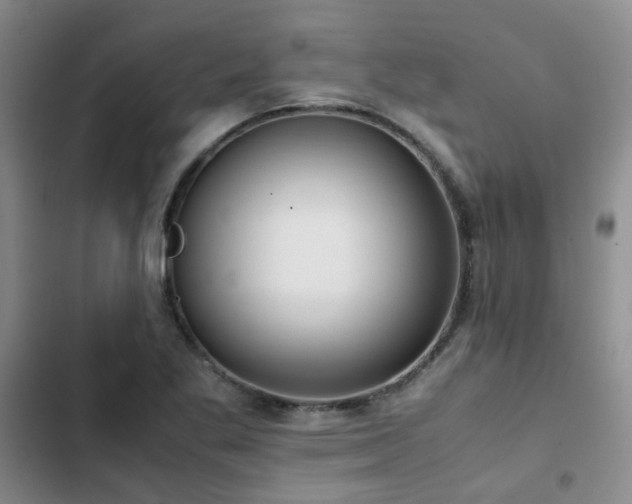 X0000102841269200808181339