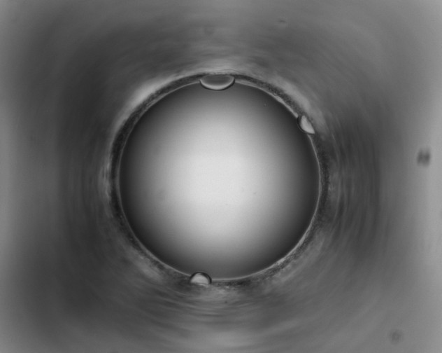X0000102841270200808181339