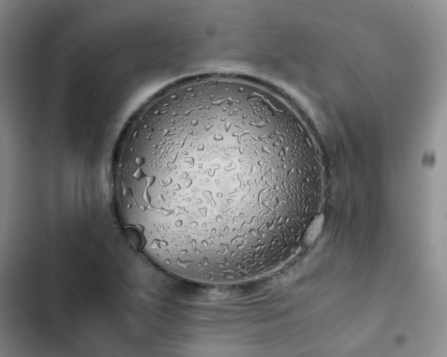 X0000102841271200808181339