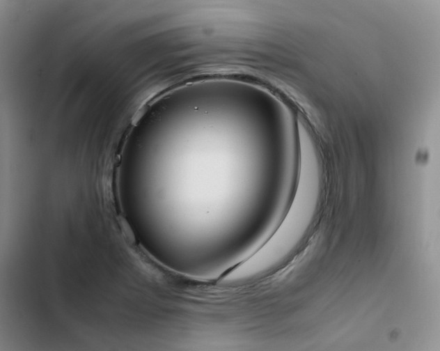 X0000102841273200808181339