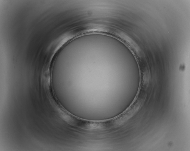 X0000102841274200808181339