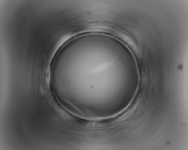 X0000102841275200808181339