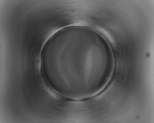 X0000102841276200808181339