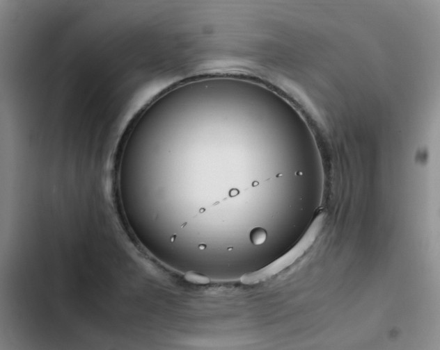 X0000102841277200808181339