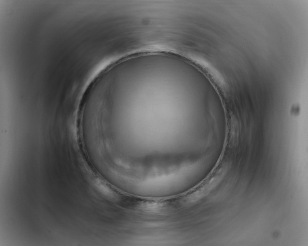 X0000102841278200808181339