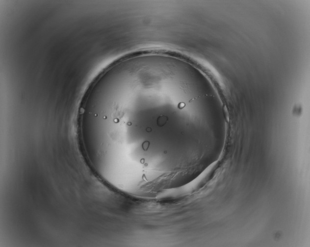X0000102841279200808181339