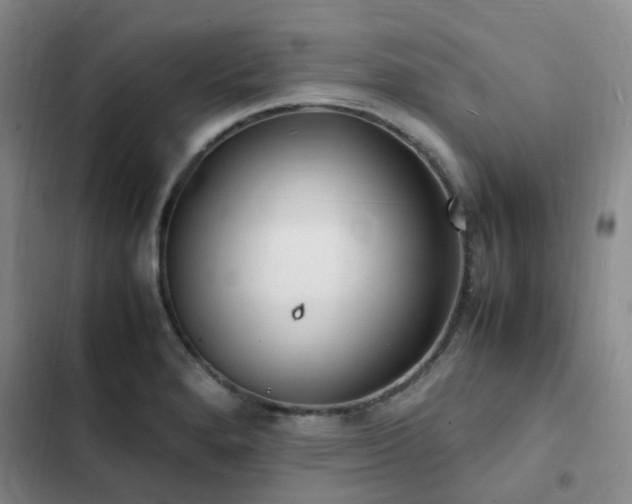 X0000102841280200808181339