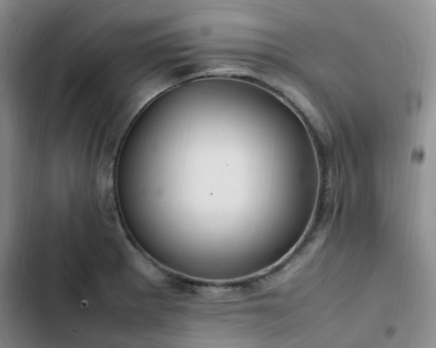X0000102841281200808181339
