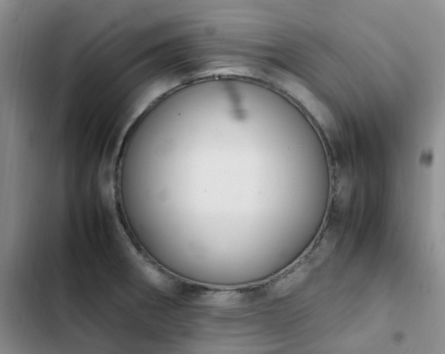 X0000102841282200808181339