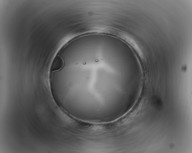 X0000102841283200808181339