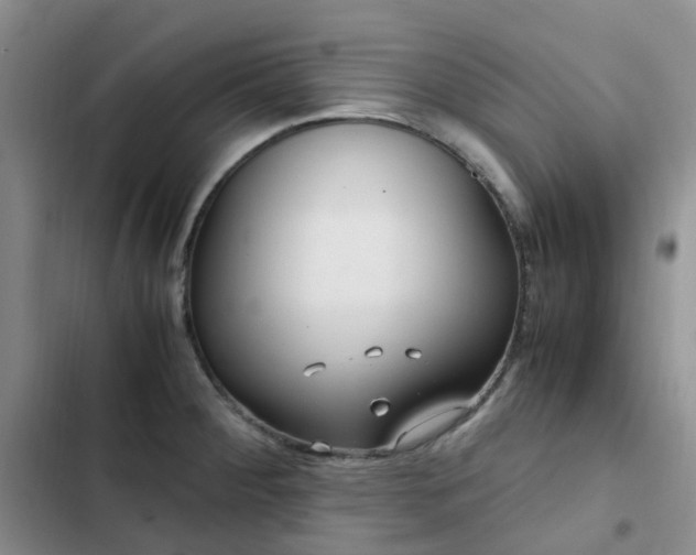 X0000102841284200808181339