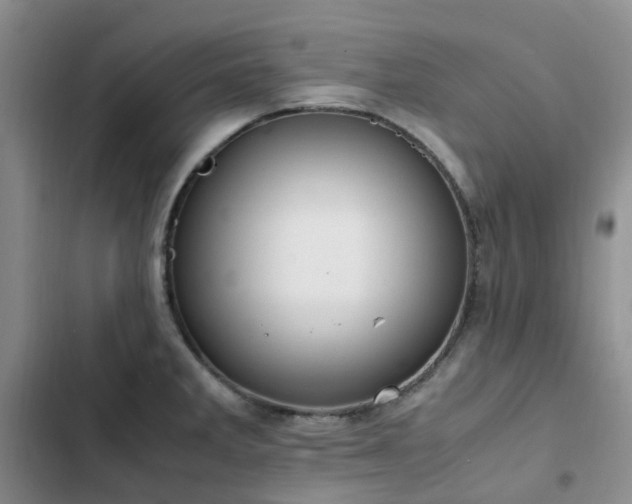 X0000102841285200808181339