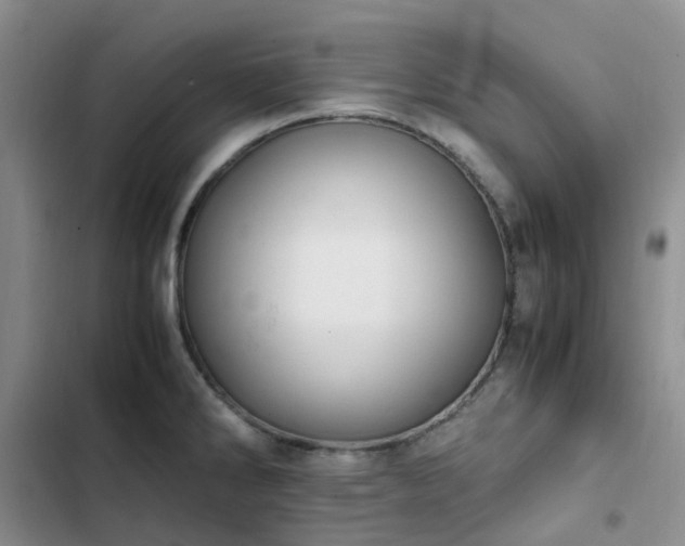 X0000102841286200808181339