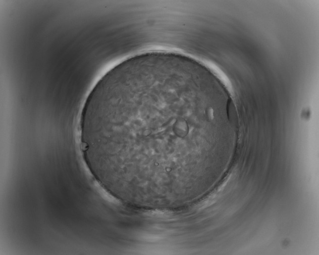 X0000102841287200808181339