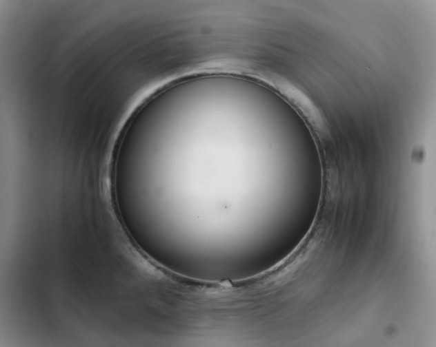 X0000102841288200808181339