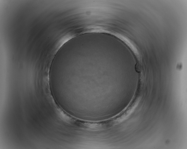 X0000102841289200808181339