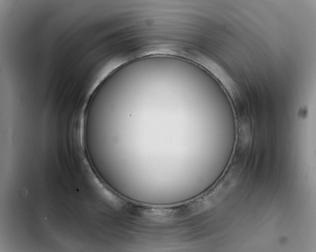 X0000102841290200808181339