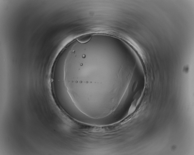X0000102841291200808181339
