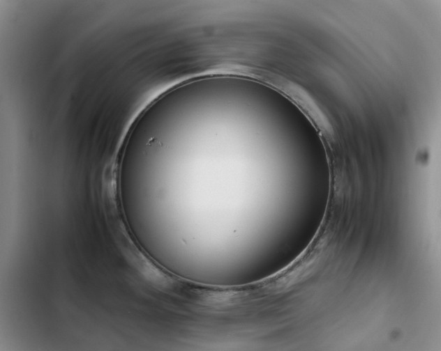 X0000102841292200808181339