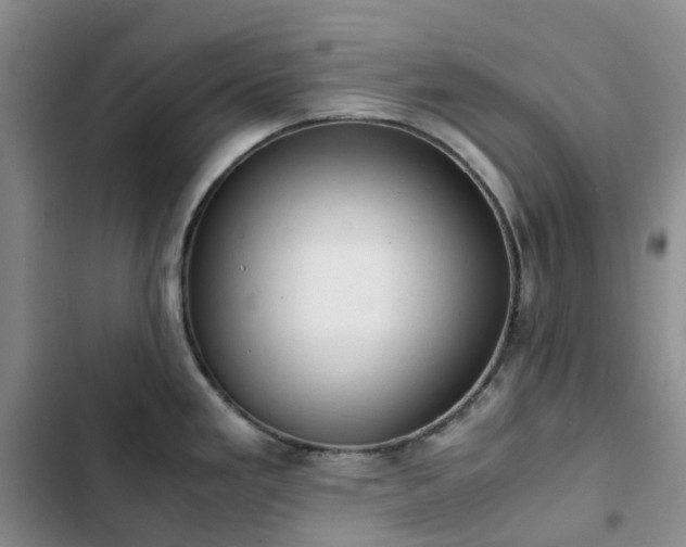 X0000102841293200808181339