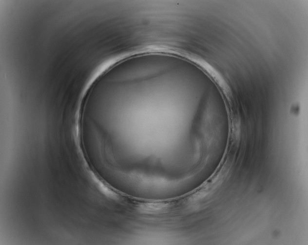 X0000102841294200808181339