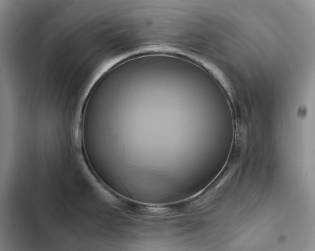 X0000102841295200808181339