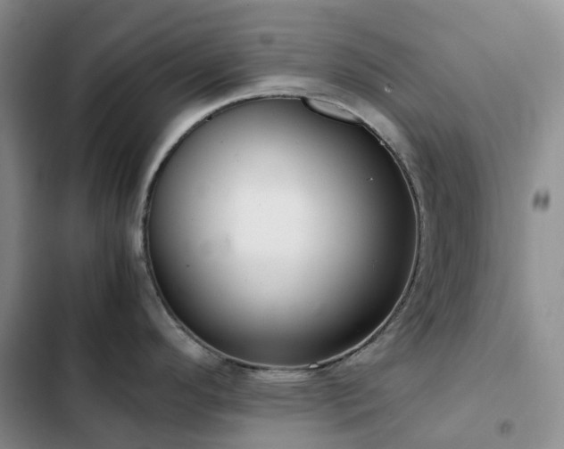 X0000102841296200808181339