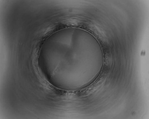 X0000102841297200808181338