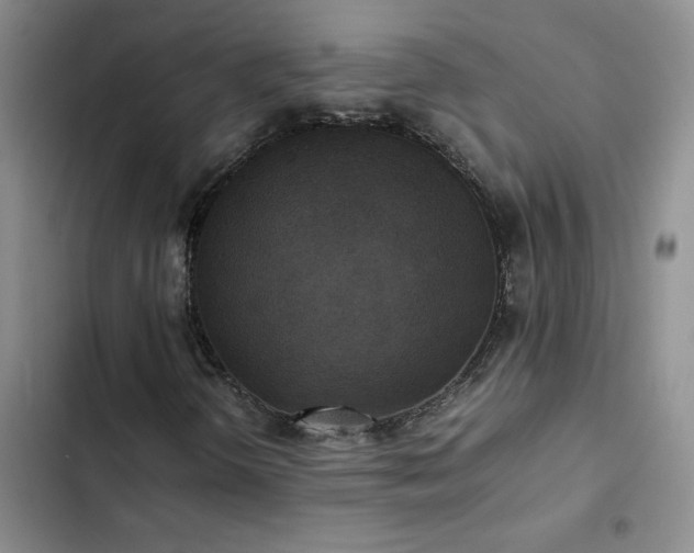 X0000102841298200808181338
