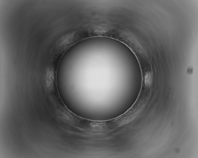 X0000102841299200808181338