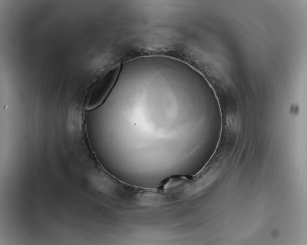 X0000102841300200808181338