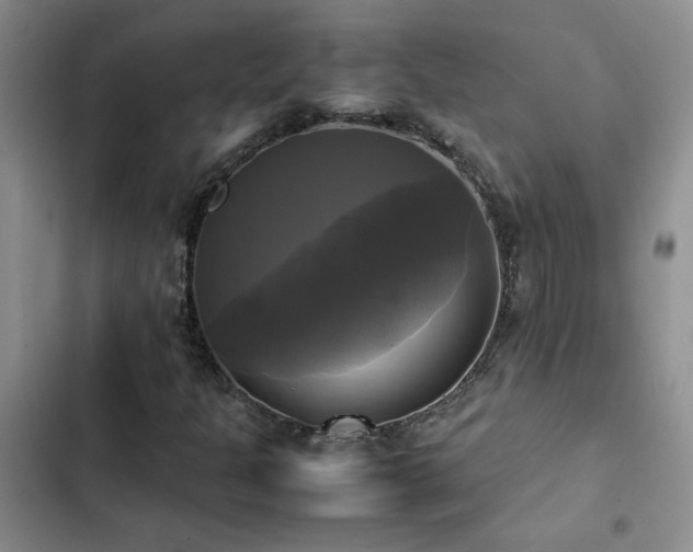 X0000102841301200808181338