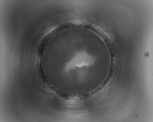 X0000102841302200808181338