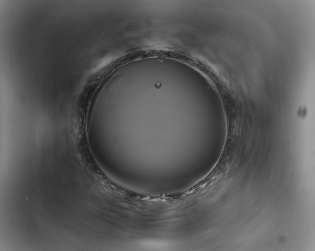 X0000102841303200808181338